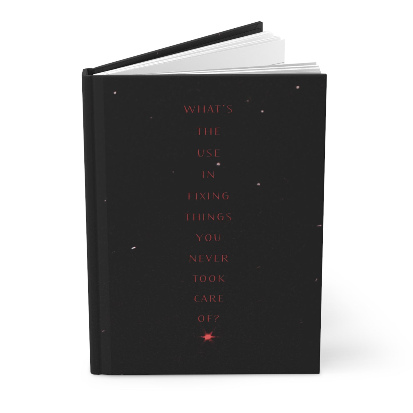 "What's The Use in Fixing Things?" Catharsis Diary